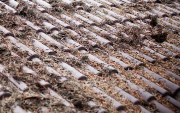 East Grafton roof cleaning companies